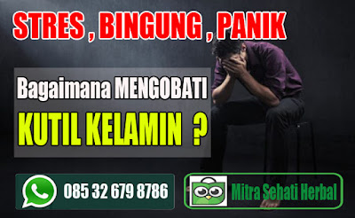 solusi pengobatan penyakit kutil kelamin herbal de nature