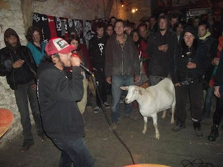 Goat at the concert