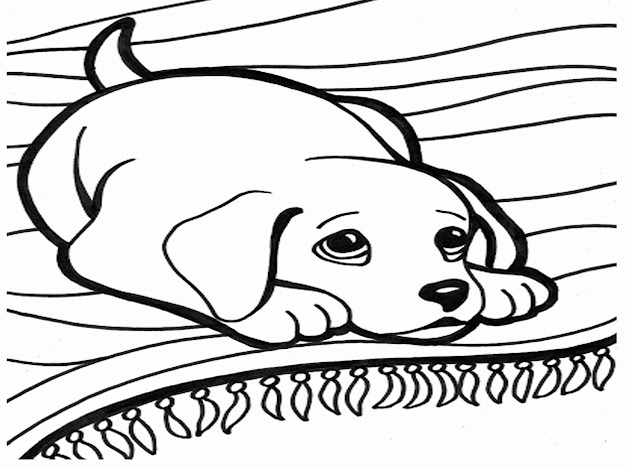 Dog Cat Coloring Pages