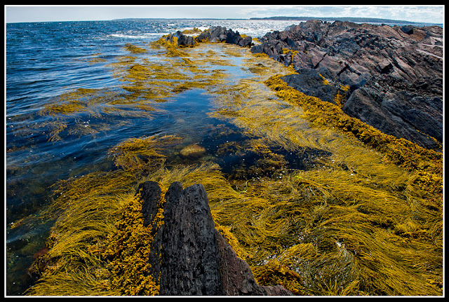 Nova Scotia, Gaff Point