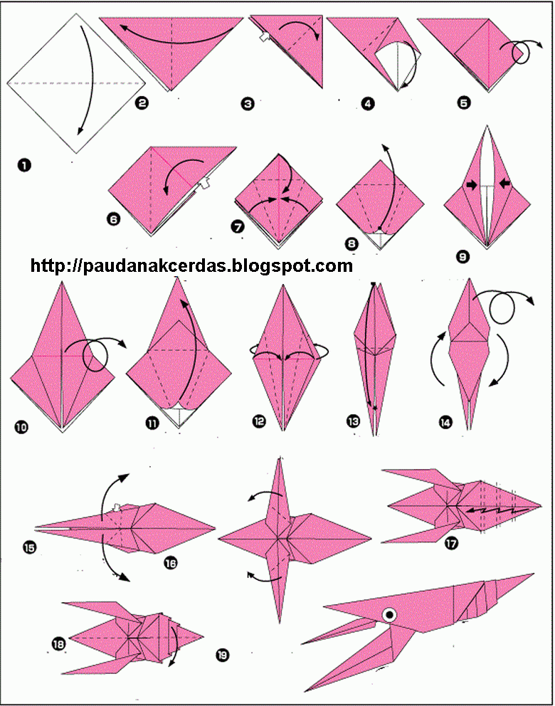  Membuat  Udang dari  Kertas  Origami  PAUD  ANAK  CERDAS