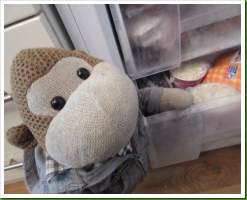 Beko Fridge Freezer
