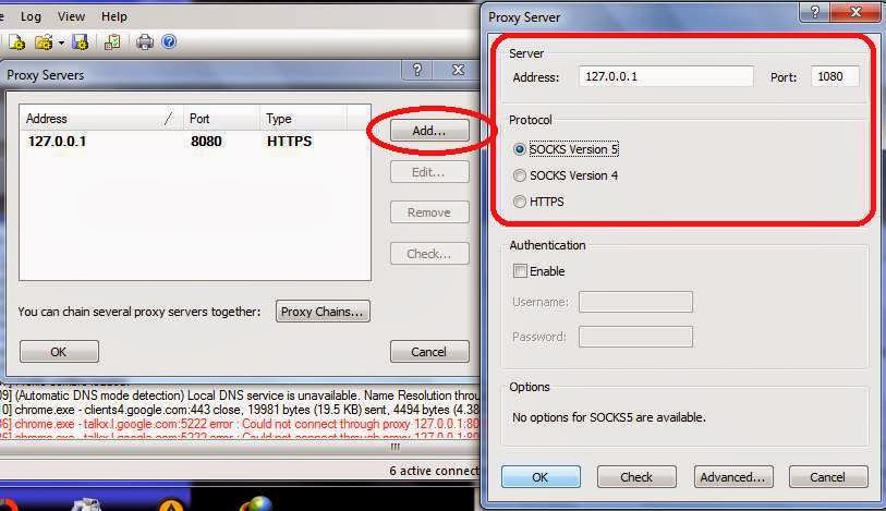 Proxifier Setting Proxifier Setting