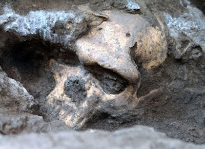 Cráneo de un Homínido siendo desenterrado del barro