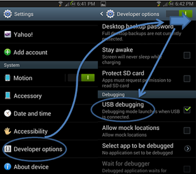 How to enable Developers Option/USB Dubbing in Android