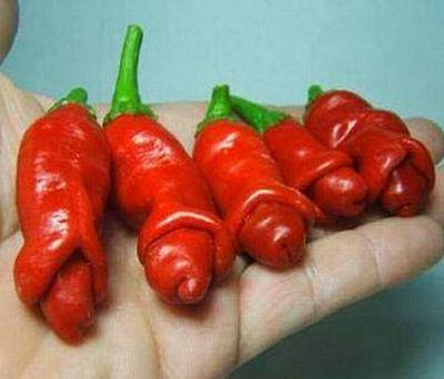 Efek Samping Makan Cabe | Kumpulan Buah-Buahan Allah