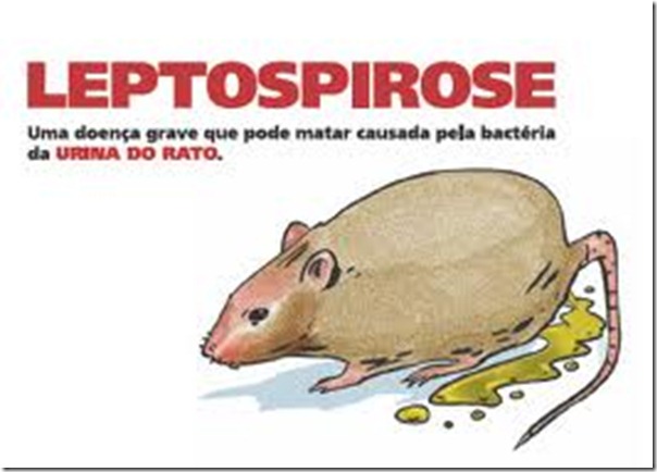 imagesCAWIHOUH