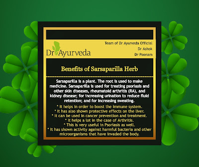 Sarsaparilla Herb benefits by Dr Ayurveda Official