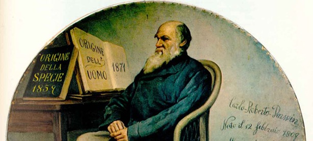 Darwin