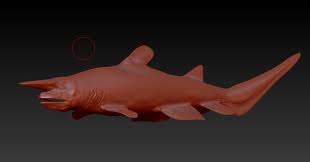 sejarah alam Gambar  ikan  jerung goblin  shark malbu