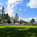 The Essential Guide to Lawn Care: Tips and Tricks for a Healthy, Beautiful Lawn 