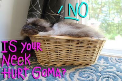 cat in basket03