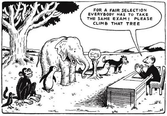 A meme showing an examiner standing in front of a line of animals with the caption 'For a fair selection everybody has to take the same exam: Please climb that tree' the line of animals includes a bird, a monkey, a penguin, an elephant, a fish in a fish bowl balanced on a stump, a seal, and a dog