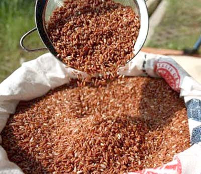 Bag of Brown Rice