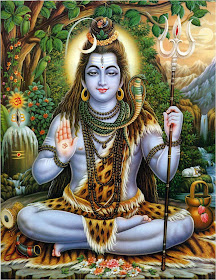 lord-shiva-sitting-jungle-pics