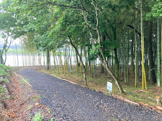 木曽川渡し場遊歩道　竹林入口　岐阜県可児市