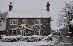 Winter Snow
