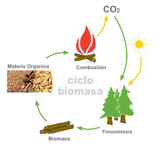 Esquema ciclo CO2 de la biomasa.