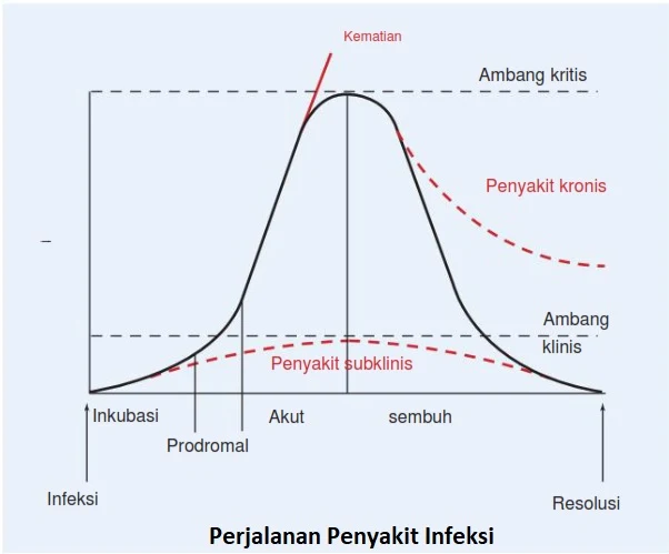 Perjalanan Penyakit Infeksi