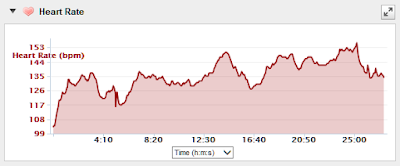 Graph depicting a properly functioning HRM