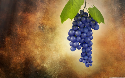 HD Grapes Wallpapers