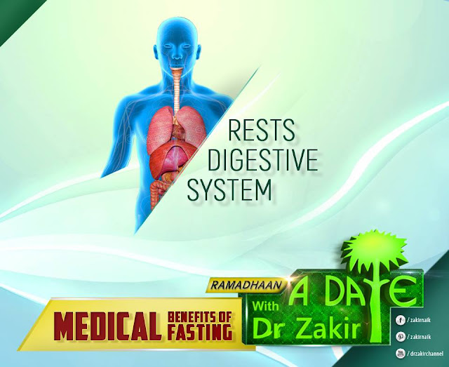 RESTS DIGESTIVE SYSTEM | RAMADAN 2020 by Ummat-e-Nabi.com