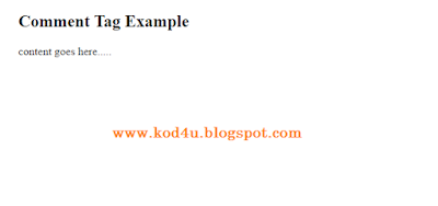 HTML Comment Tag Example 
