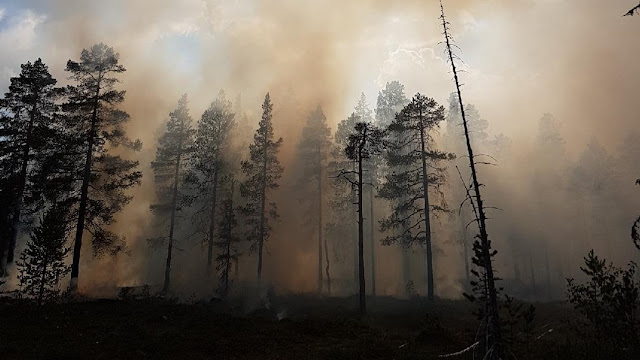 Regeringen: Sverige får Nato om brandhjälp