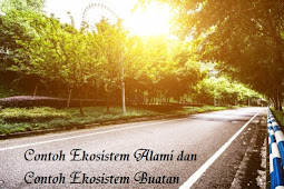 Contoh Ekosistem Alami dan Contoh Ekosistem Buatan