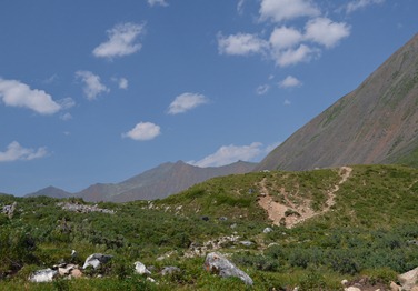 Шумак 146