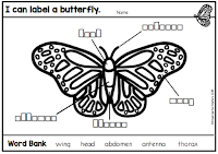 https://www.teacherspayteachers.com/Product/Butterfly-Life-Cycle-3664106