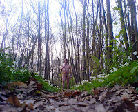 naturist, nudist, naked in nature, naked walk, naked man, naked boy