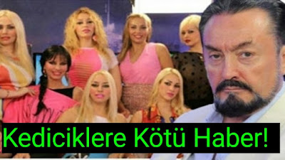 Kedicikler