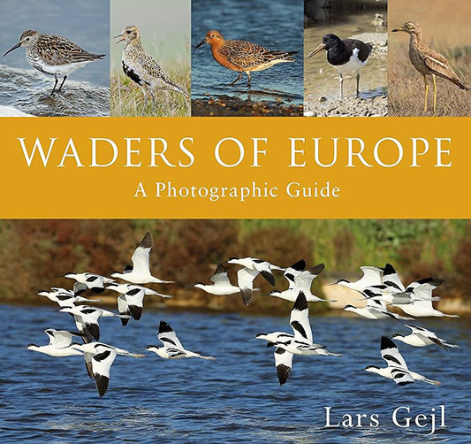 Waders of Europe book front cover