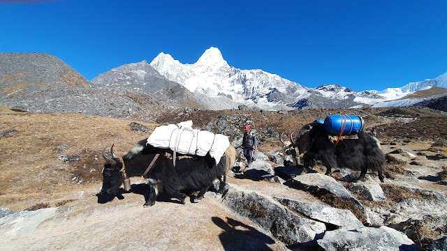 Ama Dablam Base Camp