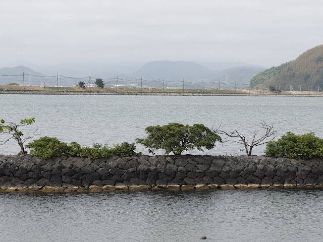 大根島中海堤防からの眺めが綺麗です