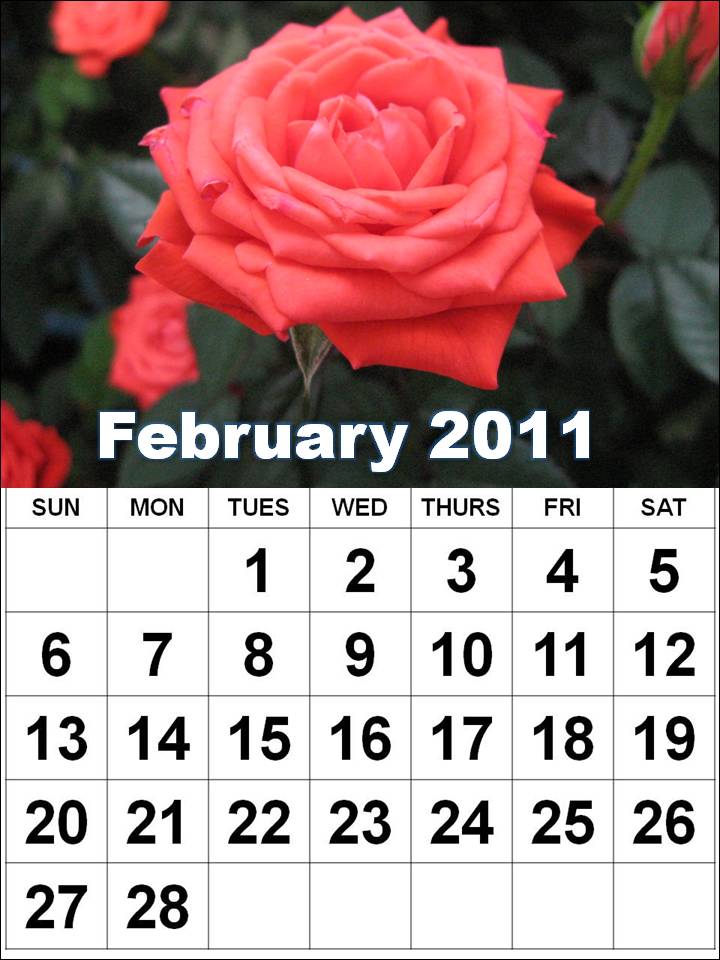 2011 calendar printable february. 2011 calendar printable by