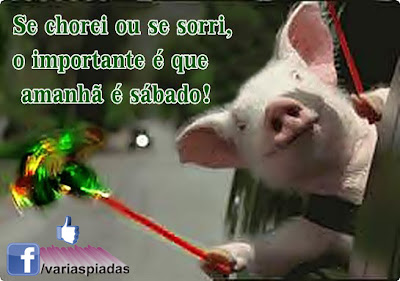 Se chorei ou se sorri, o importante é que amanhã é sábado! Frase para Facebook.