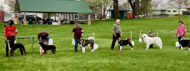 Trail Ridge Kennel Club Dog Shows