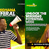 Master the Game with OddsGhana.com: Your Ultimate Source for Precise Betting Predictions and Winning Odds (Read More)