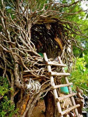 Tree House Design Form of the Bird's Nest