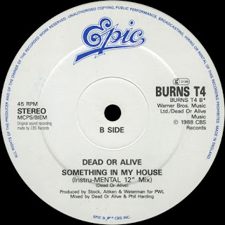 Something In My House (Instru-MENTAL 12" Mix) - Dead Or Alive http://80smusicremixes.blogspot.co.uk