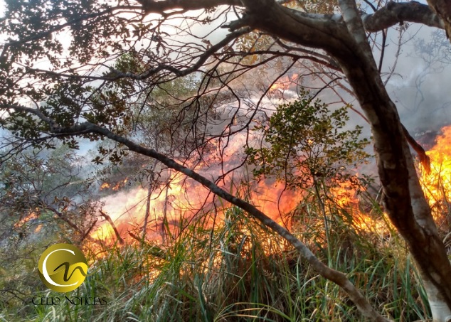 Incêndio segue avançando e destruindo sobre as serras do Parque Sete Passagens que pertence município de Miguel Calmon Veja os Vídeos 