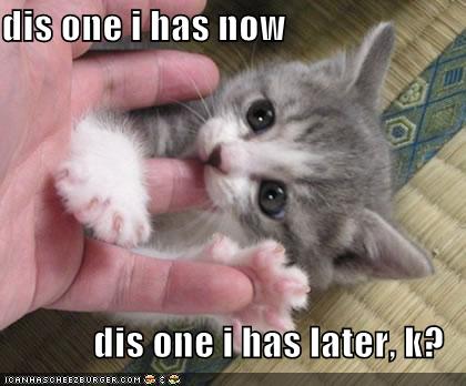 funny kitten pictures. funny kittens. cute funny