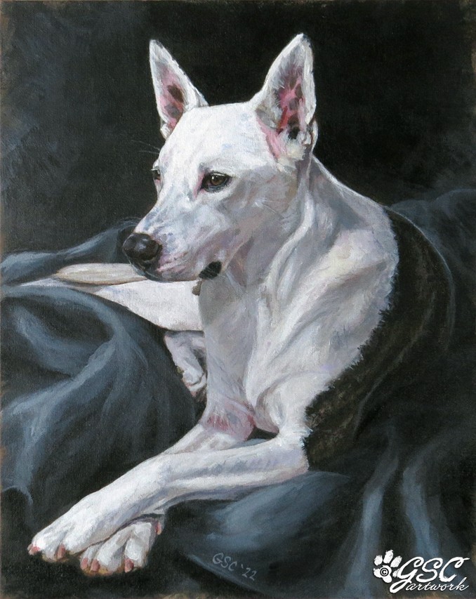 rescue dog animal pet portrait acrylic painting art