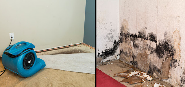 Water Damage Restoration in Costa Mesa