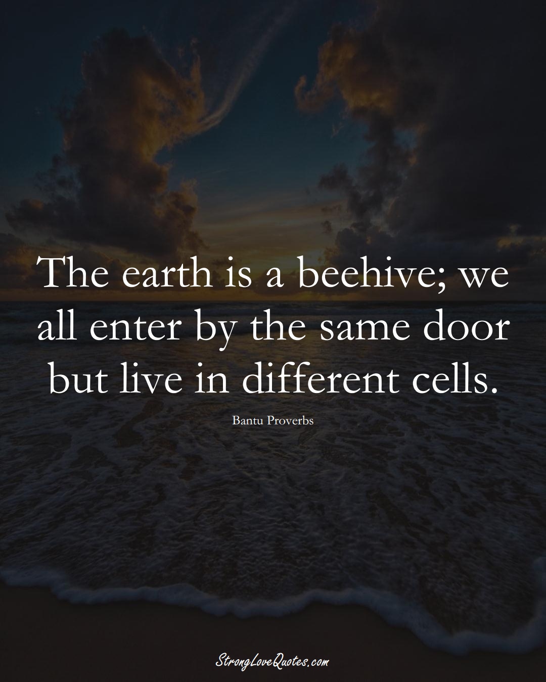 The earth is a beehive; we all enter by the same door but live in different cells. (Bantu Sayings);  #aVarietyofCulturesSayings