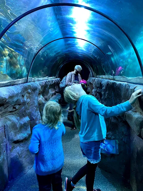 two children watching fish in an under water tunnel