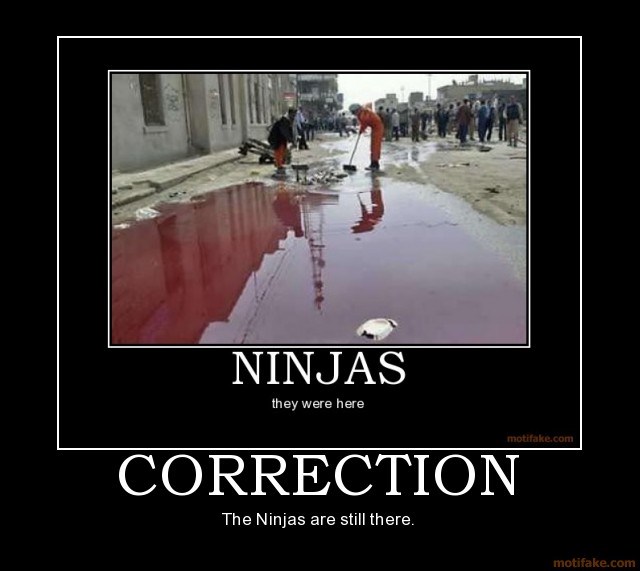 ninjas+motivational+poster+posters+inspirational+funny+demotivational ...