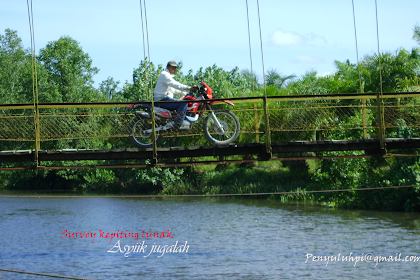 Mengenal Kepiting Lunak Dan Pembuatannya